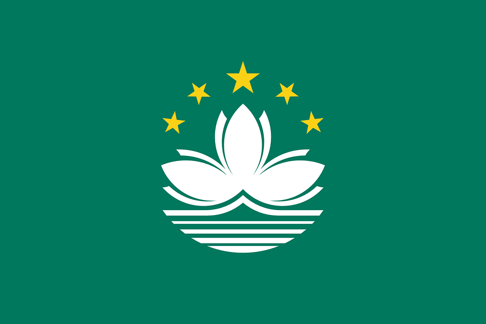 광족 이미지