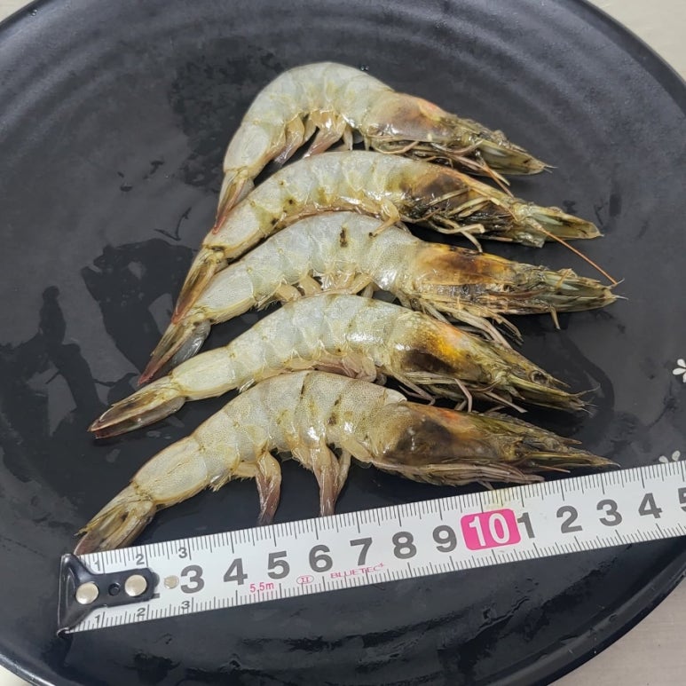 밥반찬닷컴 이미지