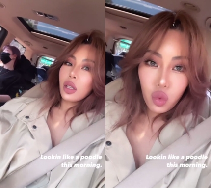 제시헤어 이미지