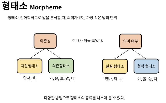 임은재 이미지