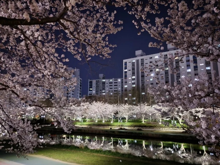 명동쫄면 이미지