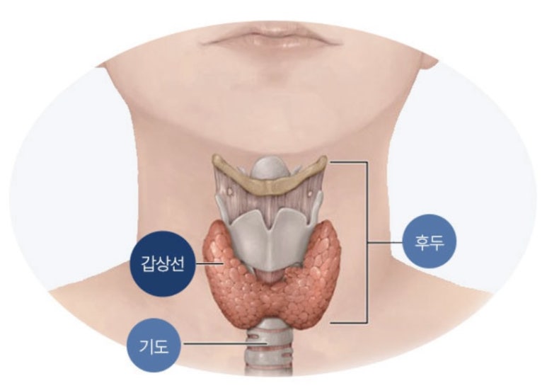 강남라이프산부인과 이미지