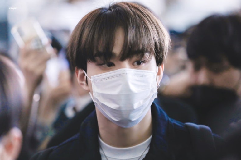 꾸꾸 이미지