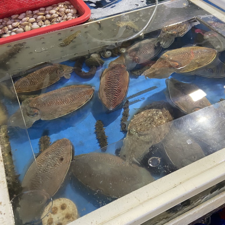 수영수산4 이미지