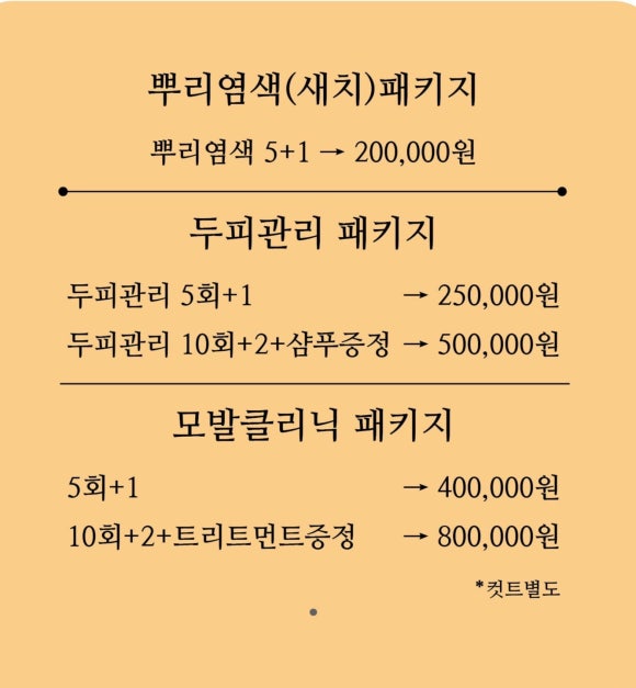 살롱딜라잇 이미지
