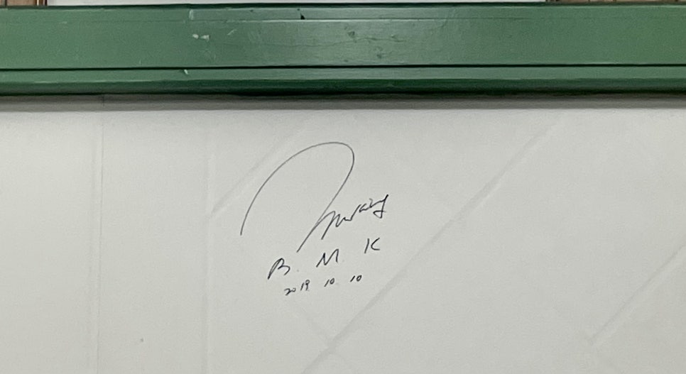 체스(CHES) 이미지