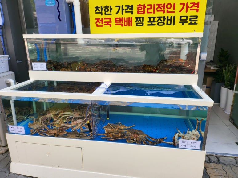 부평상회 이미지