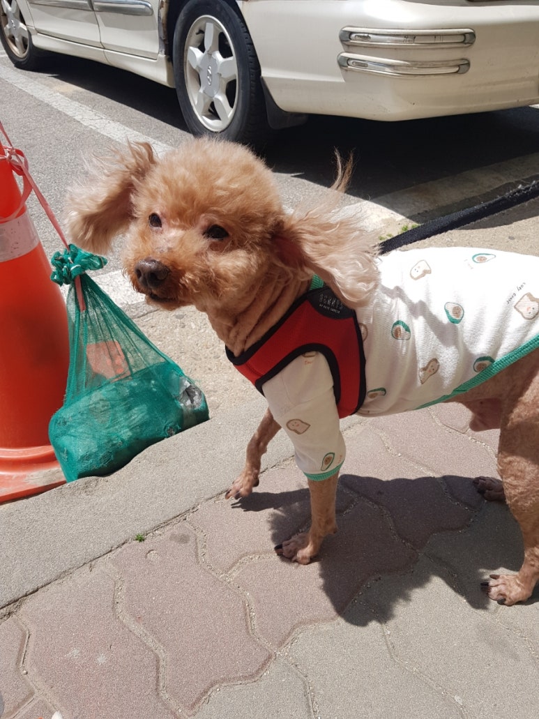대길이식당 이미지