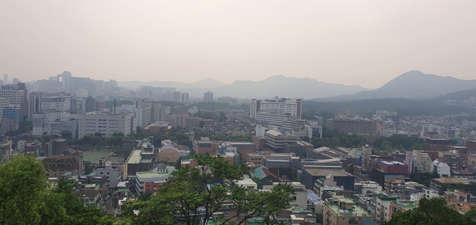 평양다방 이미지