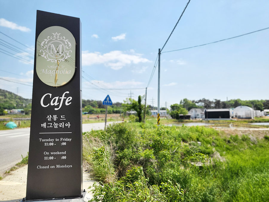 살롱드도화 이미지