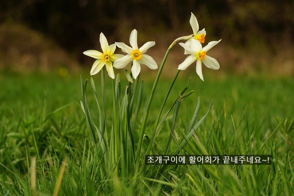 남해활어회 이미지