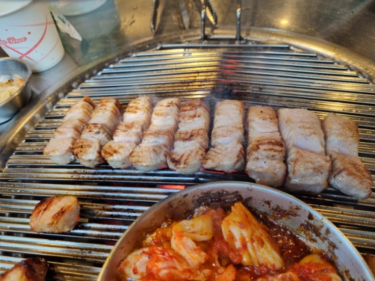 인생돼지 이미지