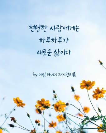 밍기적 이미지
