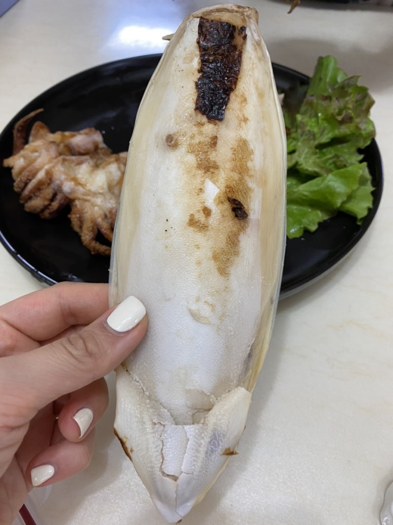 섬마을어부 이미지