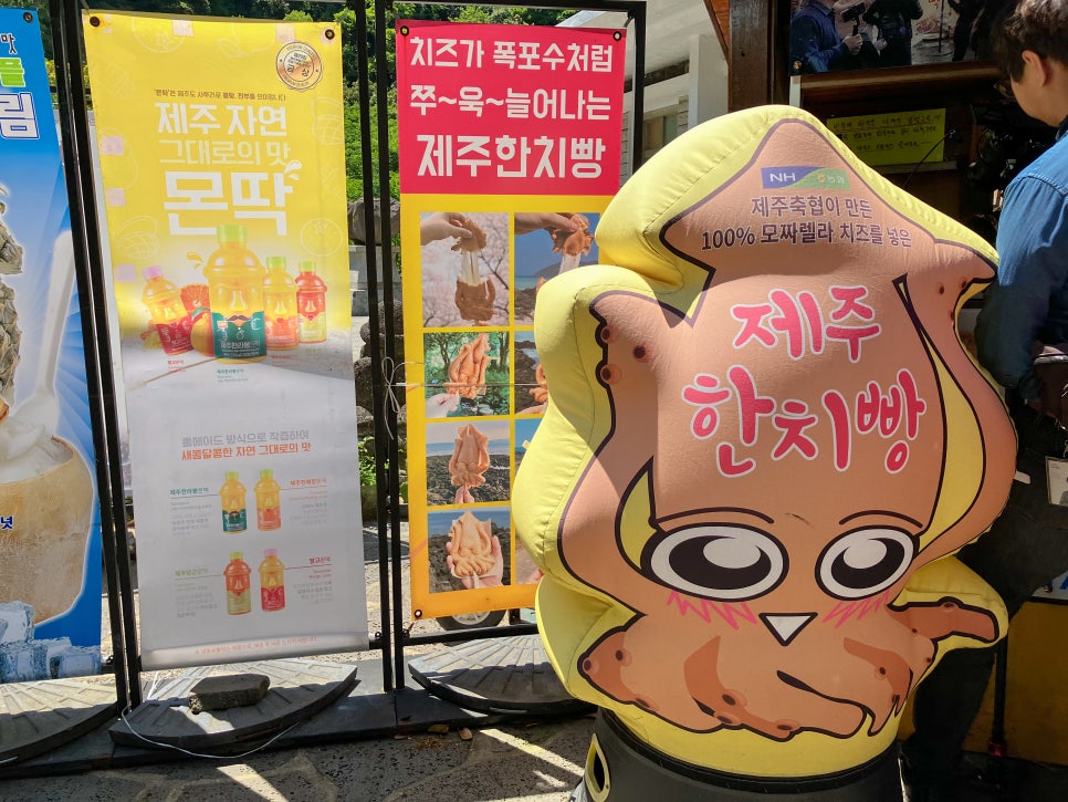 제주한치빵 이미지
