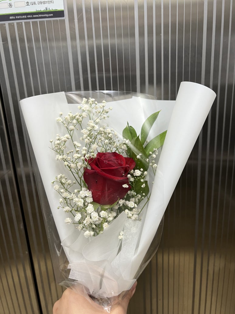 로즈노래주점 이미지