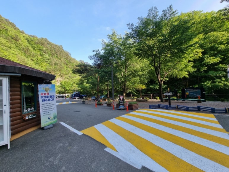 곰배령벨리 이미지