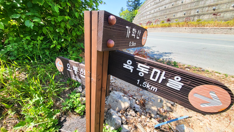 완도스타일 이미지