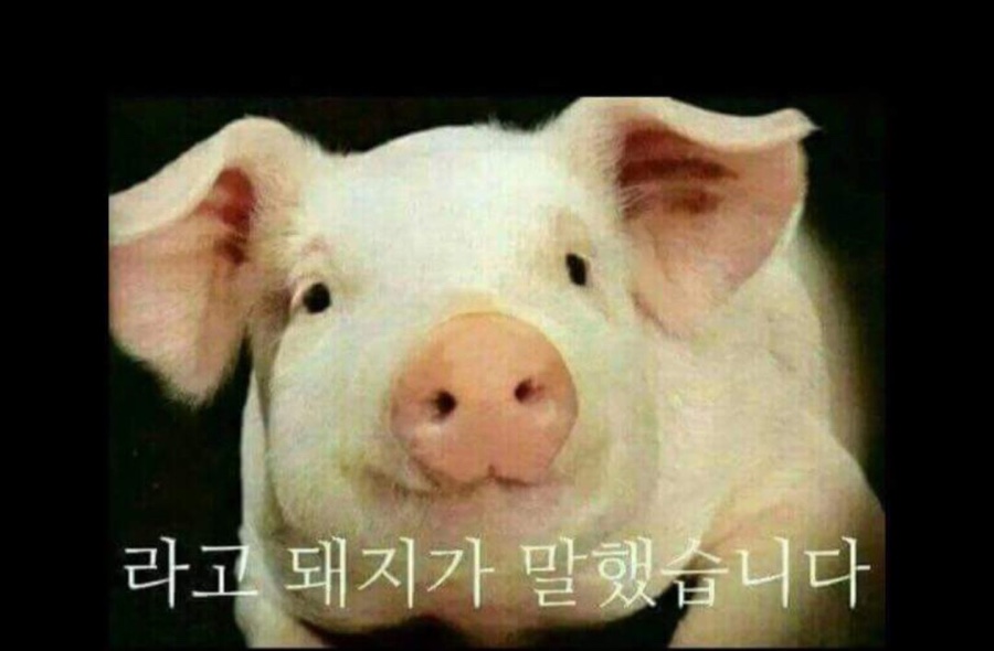 방배김밥 이미지
