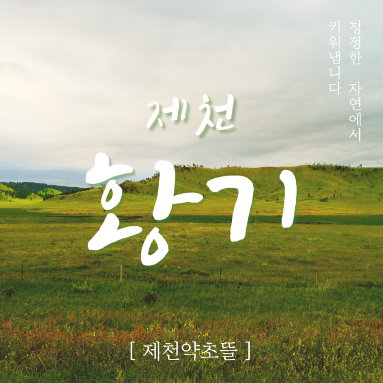 제천약초뜰 이미지