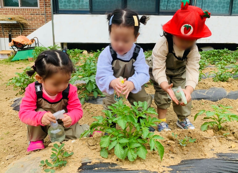 시고르하우스 이미지