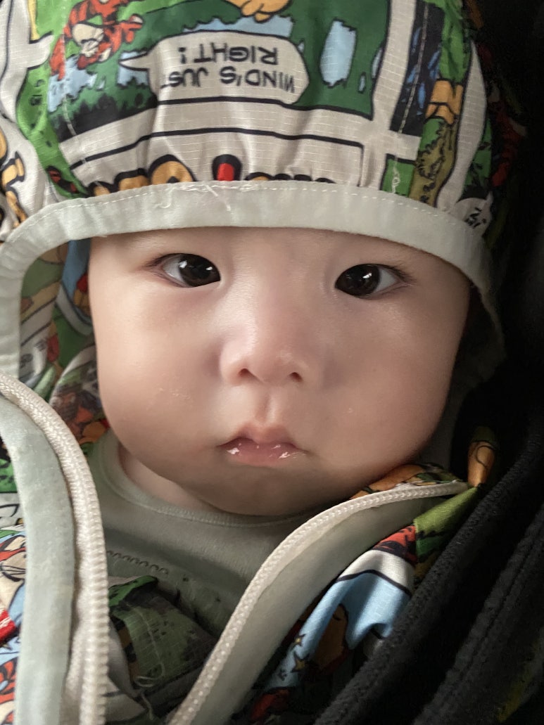 복순이네회수산 이미지