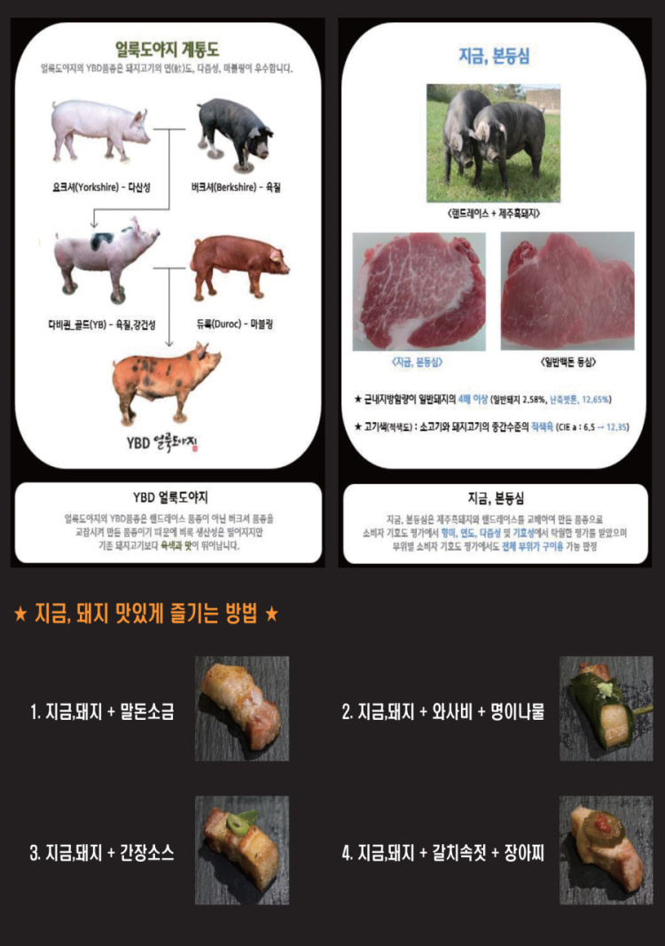 지금,돼지 이미지