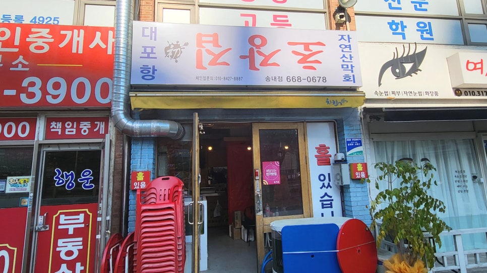 대포항초장집 이미지