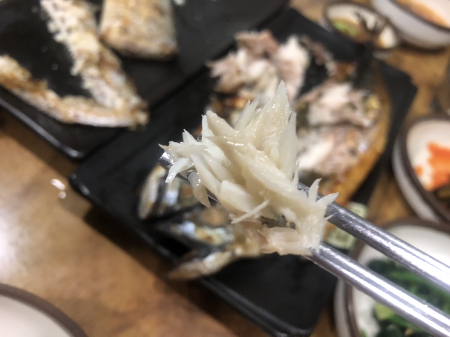 까시고기 이미지