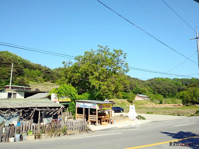 칠갑산 구기자 막국수 이미지