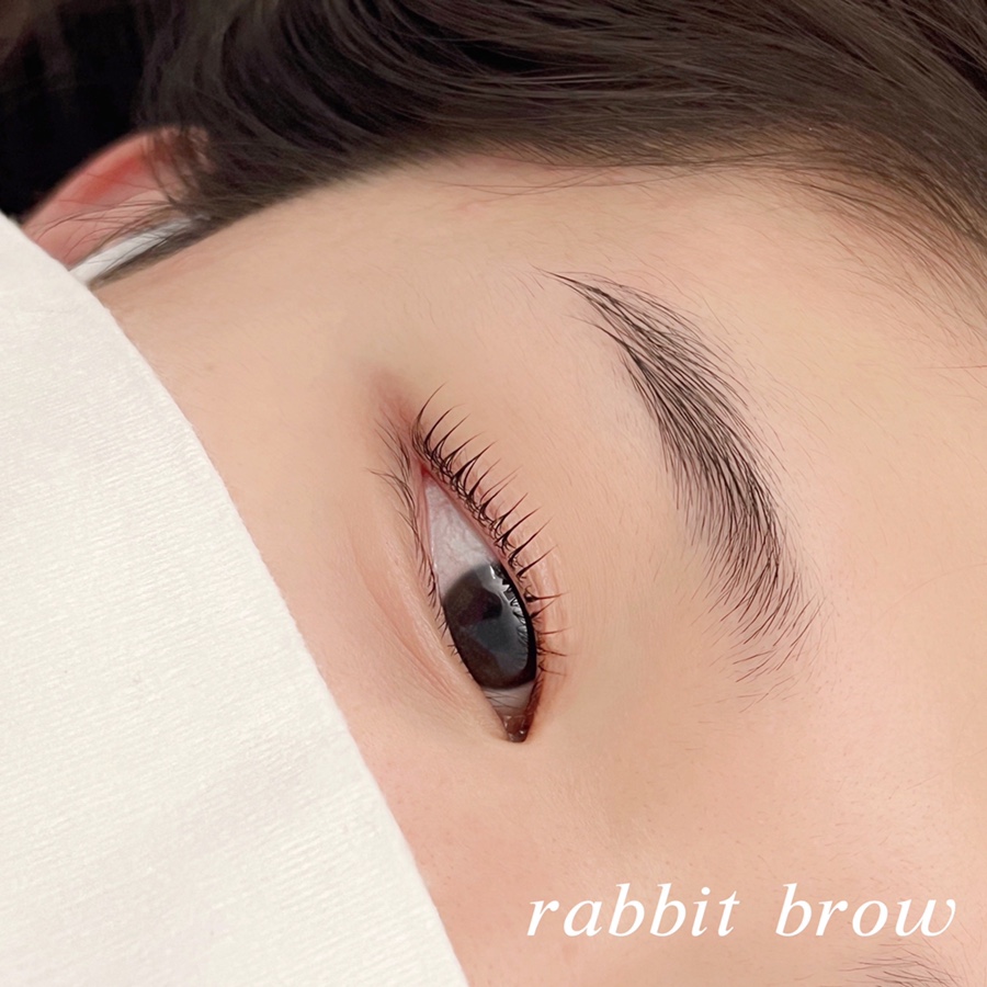 레빗브로우 이미지