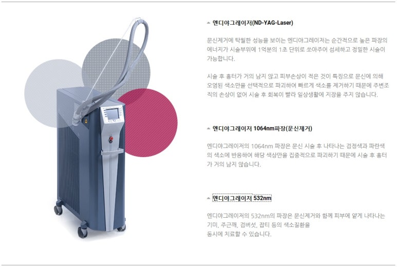 타투월드 이미지