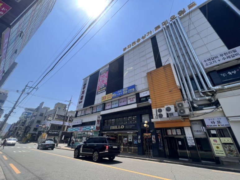 소소히브로우 이미지