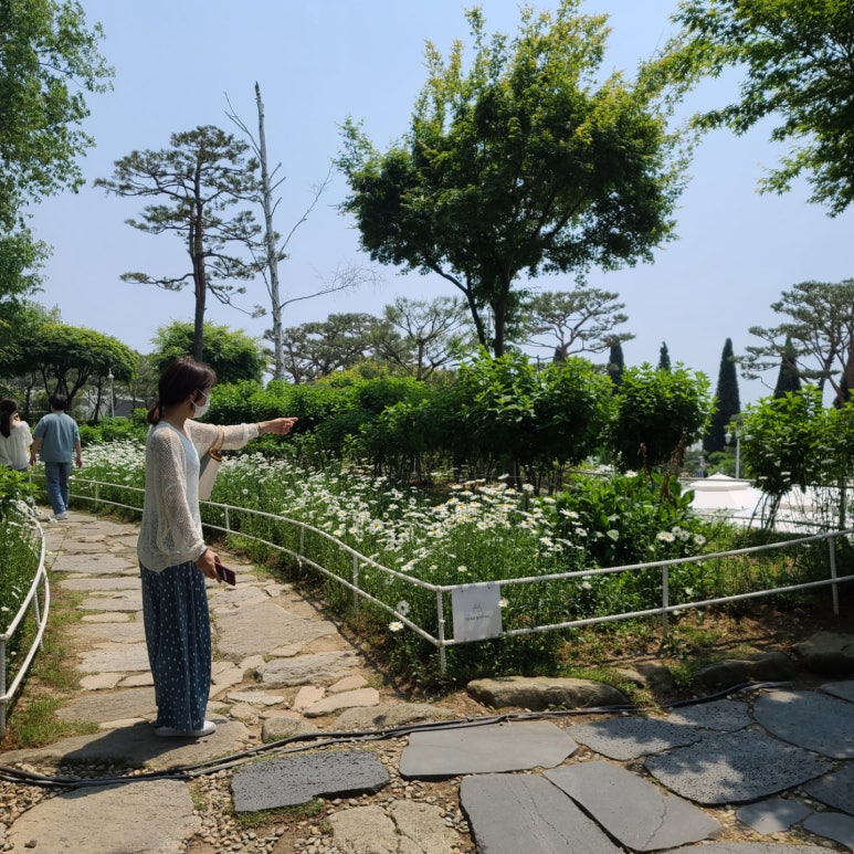 강화도레도레 이미지