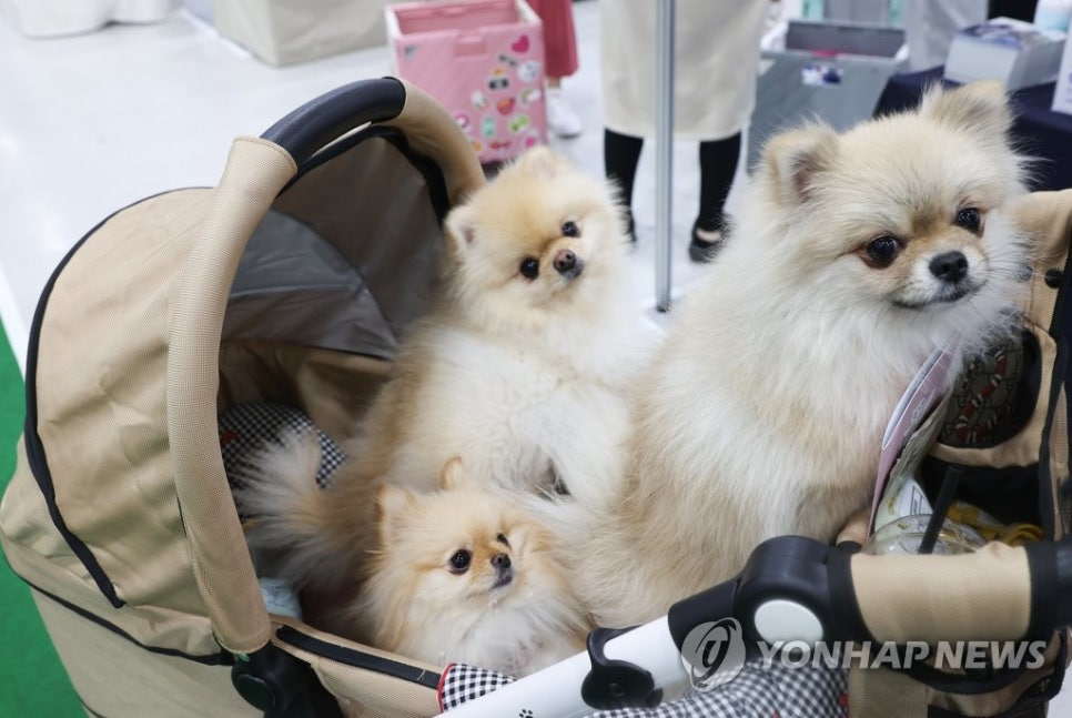 주식회사 씨앤비 이미지