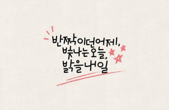 천년나무 이미지