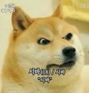 없음 이미지