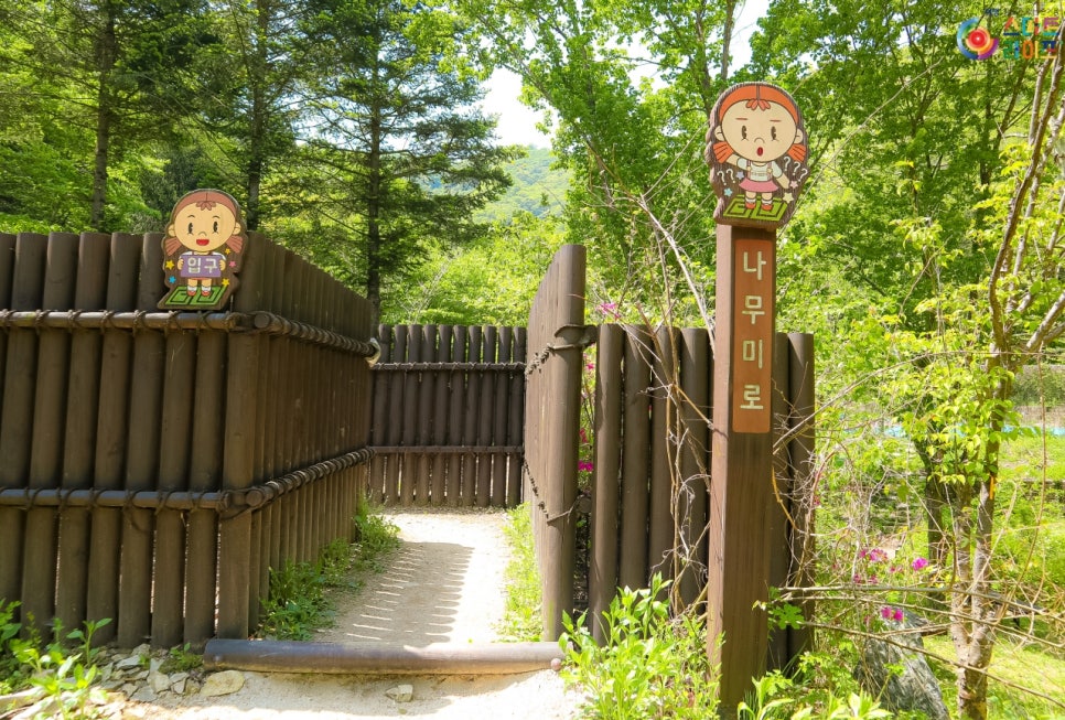 수목 비교 관찰원 이미지