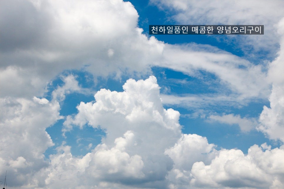 천하일품 이미지