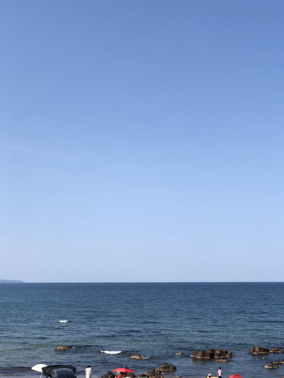 동댕이네 이미지
