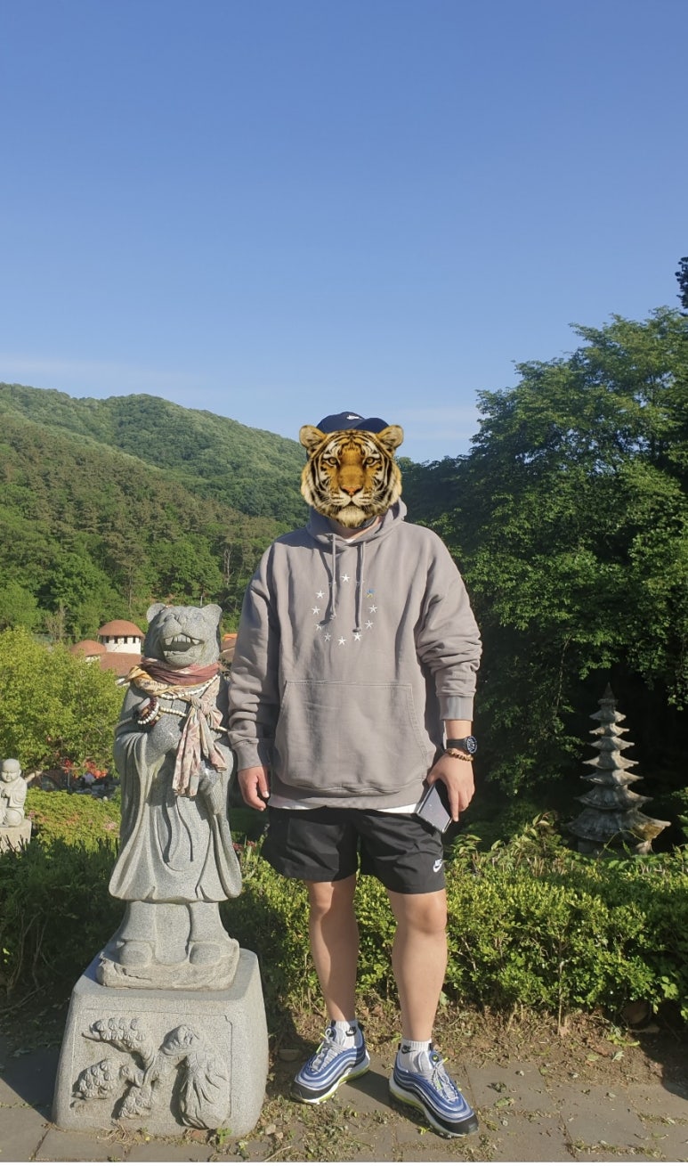 롯데아울렛피그먼트 이미지
