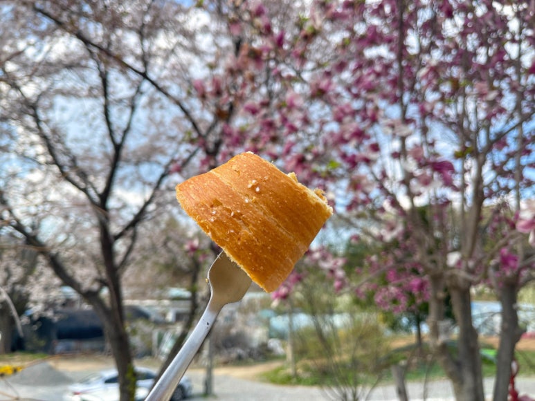 카페요기 이미지
