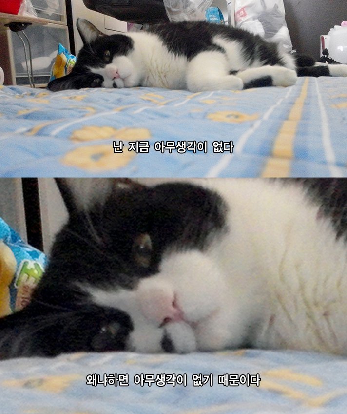 돈생각나는집 이미지