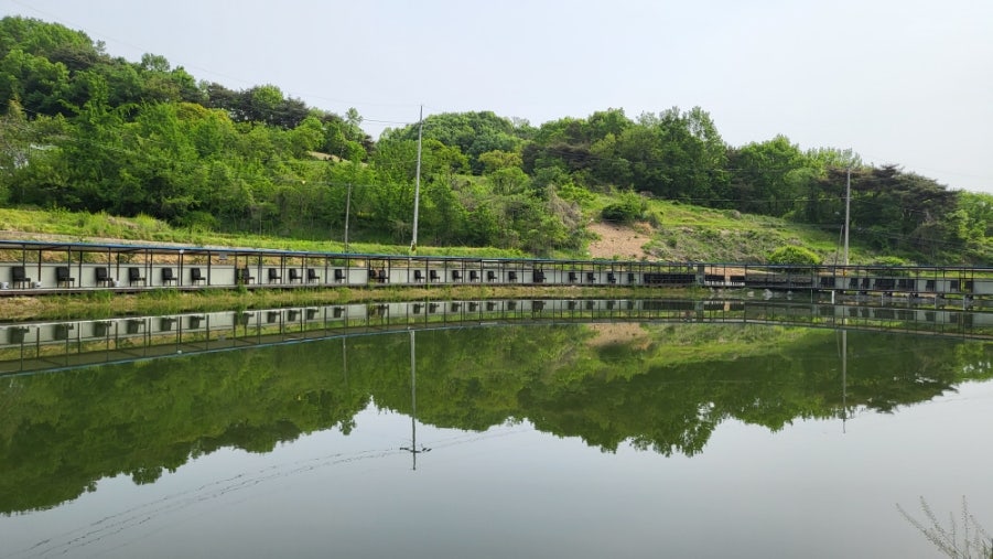 욜로식당 이미지