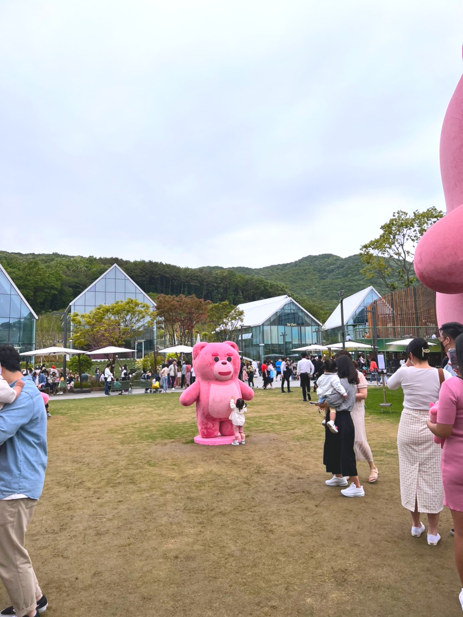 핑크벨리 이미지