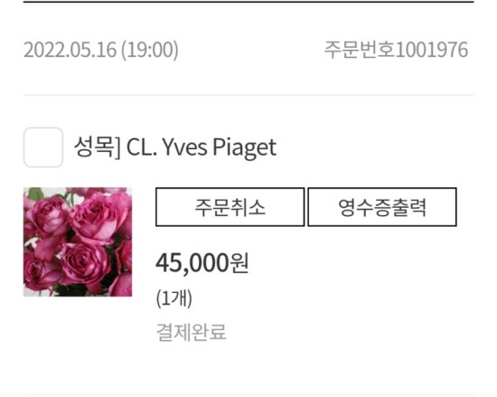 이브피아제 이미지