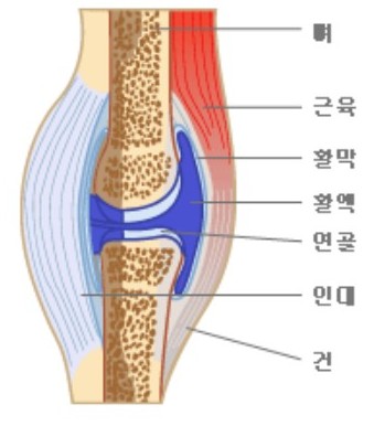 스타일피트 이미지