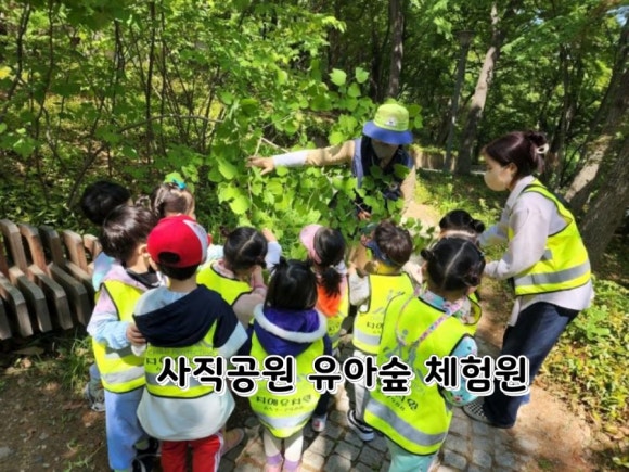 사직공원 유아숲체험원 이미지