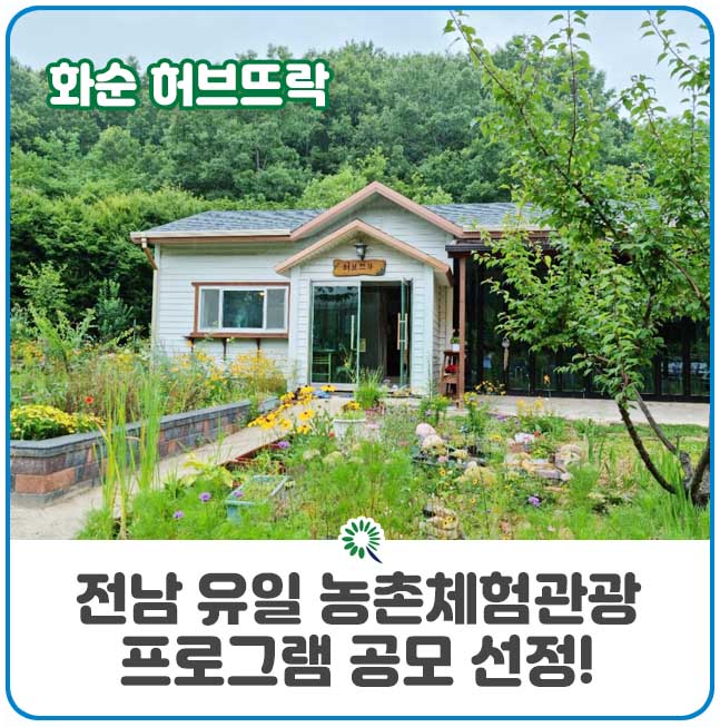 화순허브뜨락 이미지