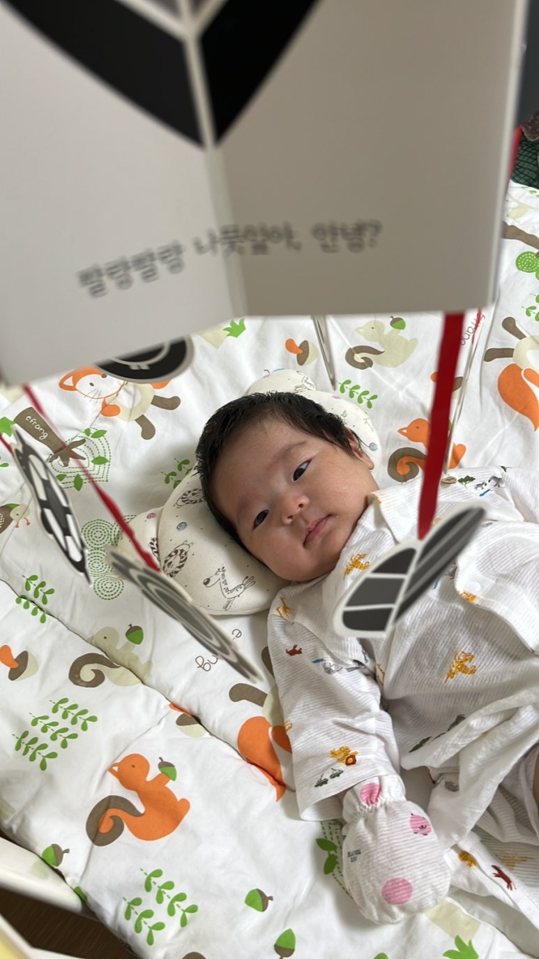 해피아람 이미지